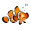 Clownfish